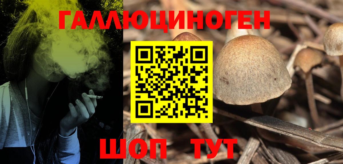 Галлюциногенные грибы Psilocybine cubensis  Вход с VPN  Куйбышев 